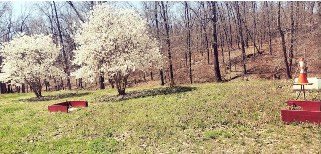 Relaxing Stay In The Country Unit 1 Ozark Экстерьер фото